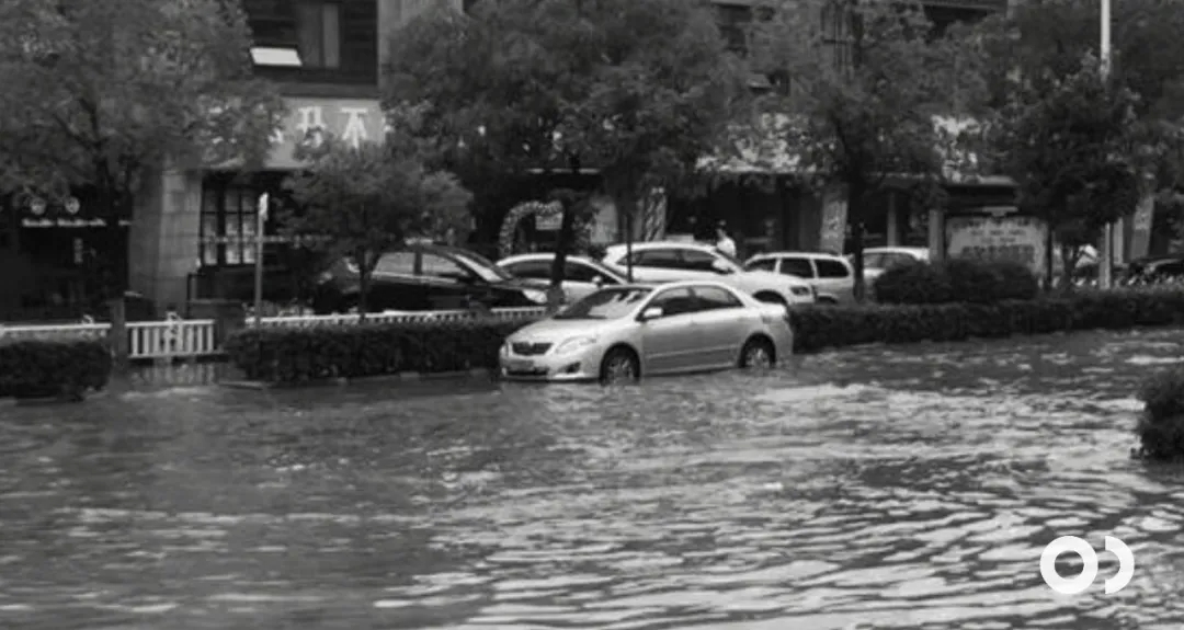 1.webp.jpg 1.webp.jpg