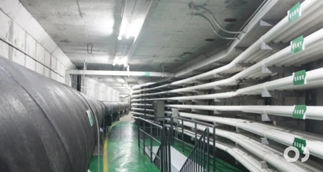 2.webp.jpg 2.webp.jpg