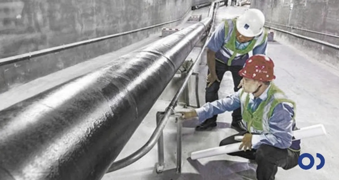 3.webp.jpg 3.webp.jpg