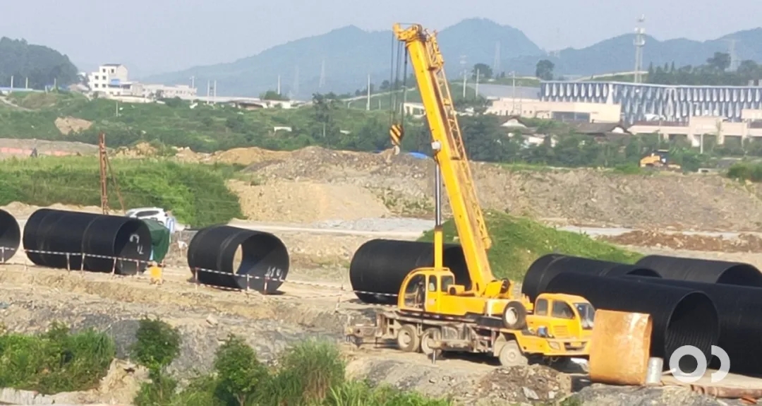 5.webp.jpg 5.webp.jpg