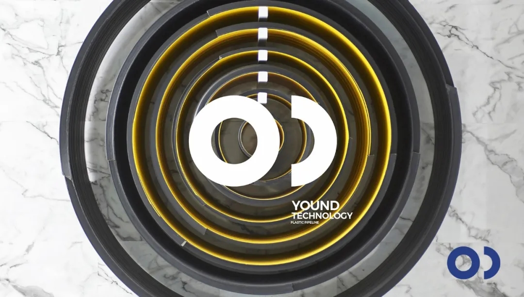 6.webp.jpg 6.webp.jpg