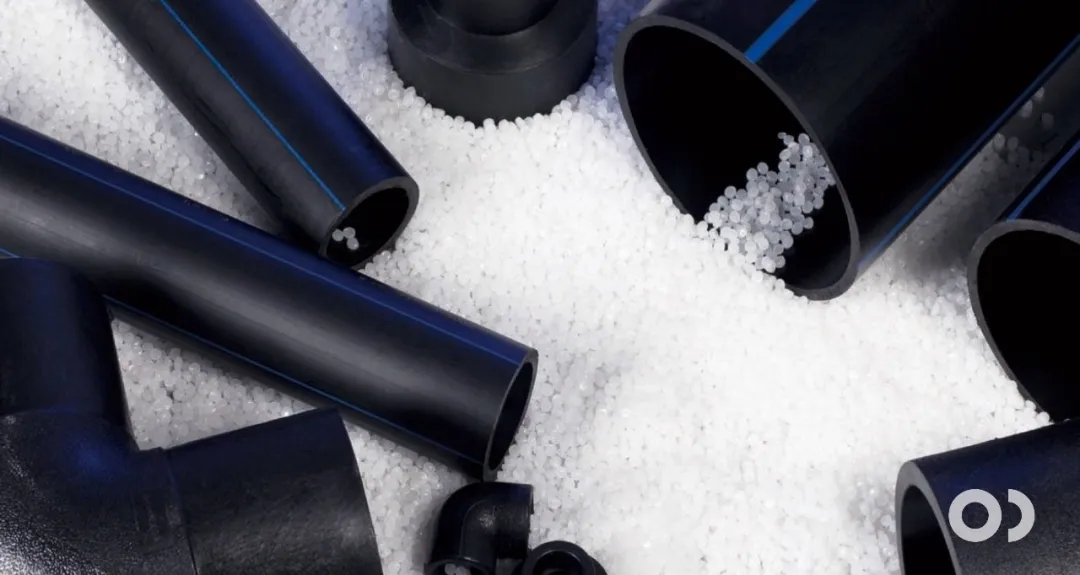 6.webp.jpg 6.webp.jpg